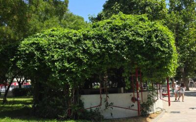 Mehr Sicherheit im Kardinal-Nagl-Park